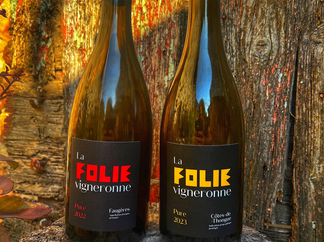 Autignac旅游景点-Domaine La Folie Vigneronne