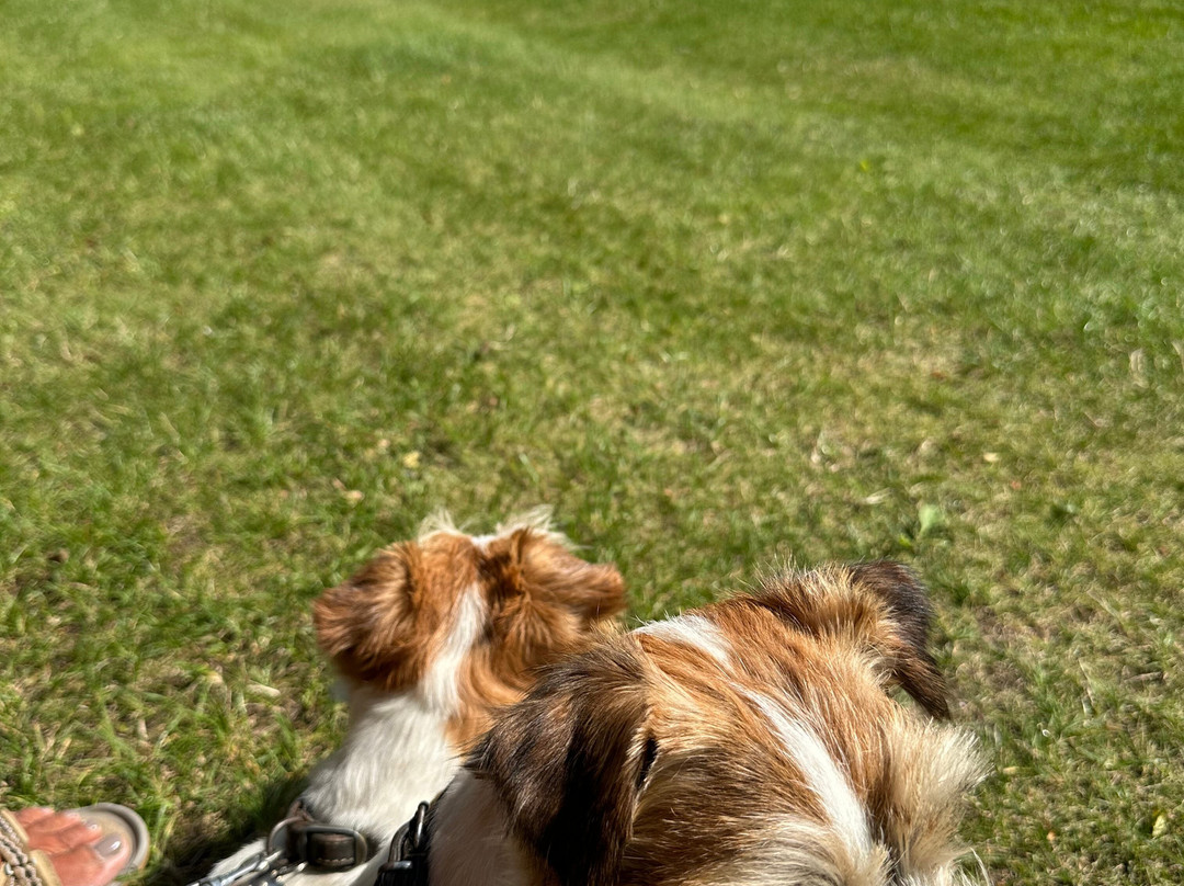 Aero Golf Club-Soeby必去景点