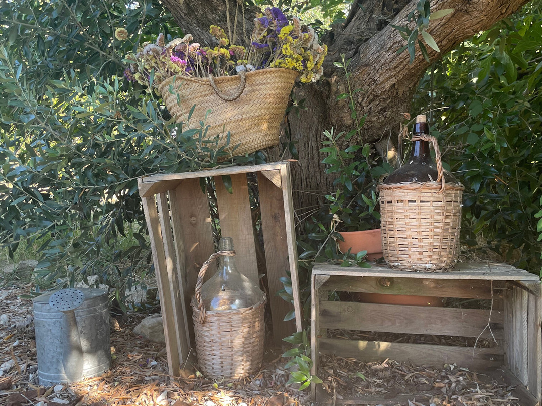 Monte Além Tejo主图