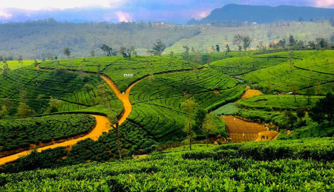 Adventure Travel Sri Lanka-Narammala必去景点