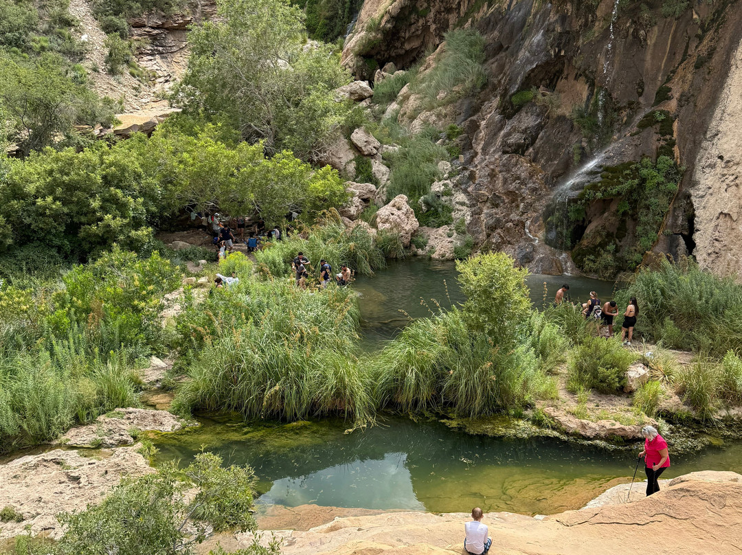 Sitting Bull Falls-卡尔斯巴德必去景点