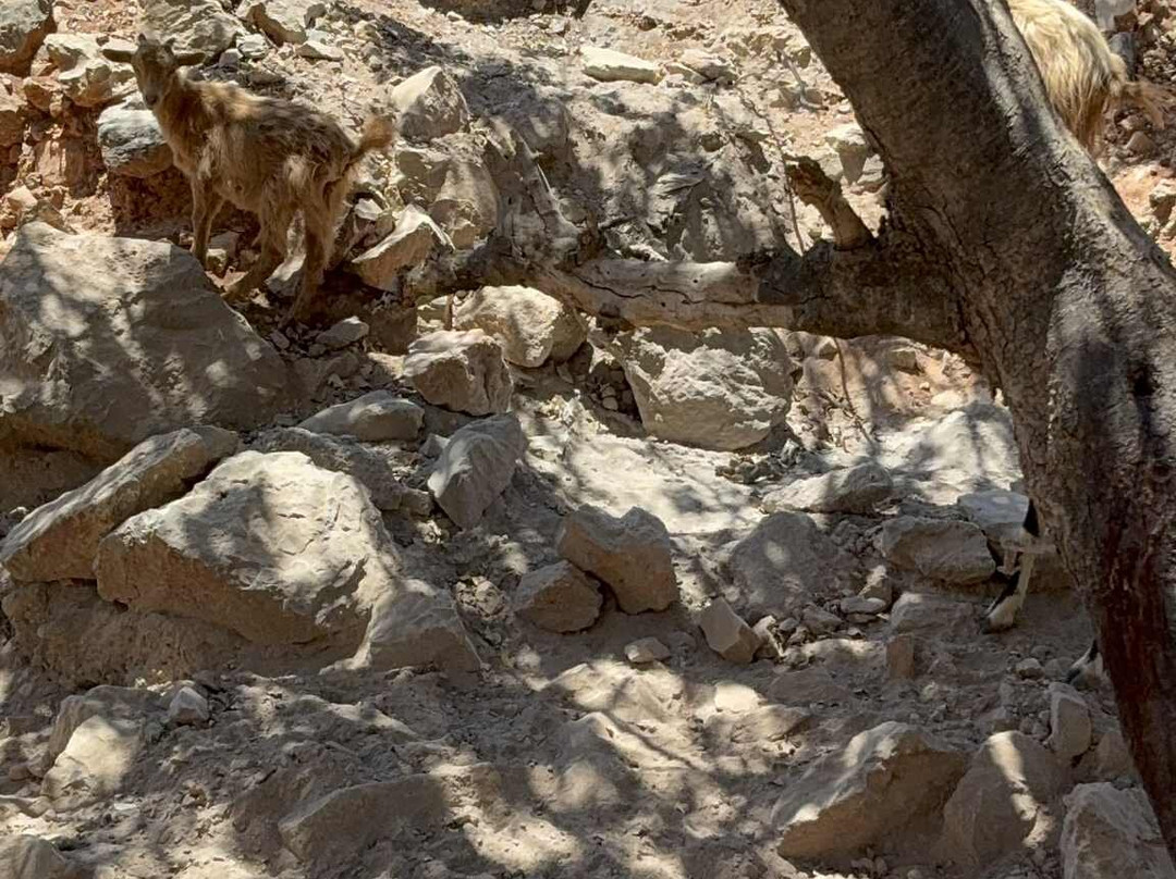 Matheo Hotel Villas & Suites主图