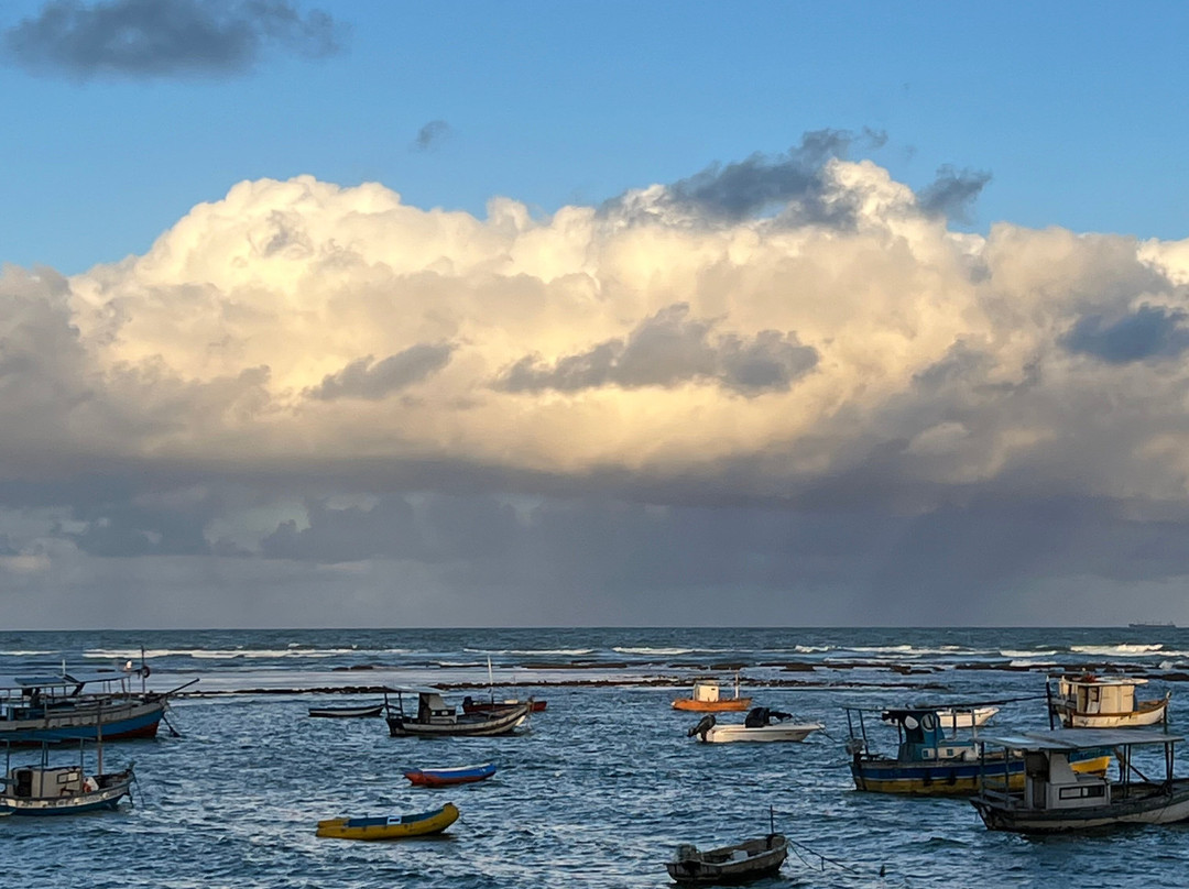 Praia do Forte Beach-Mata de Sao Joao必去景点