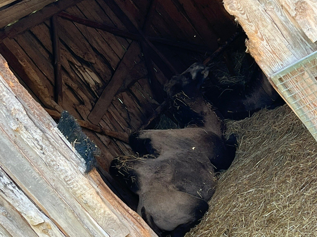 Zoopark Na Hrádečku-英吉夫必去景点