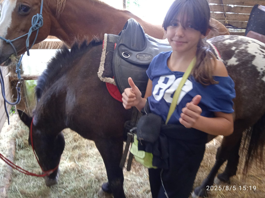 Equilibres-Stoumont必去景点