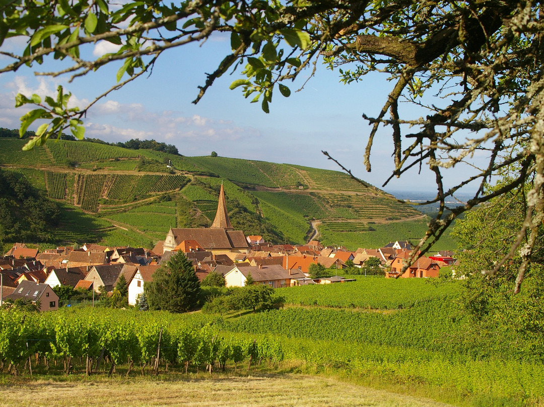Domaine Aimé Stentz-维特塞姆必去景点