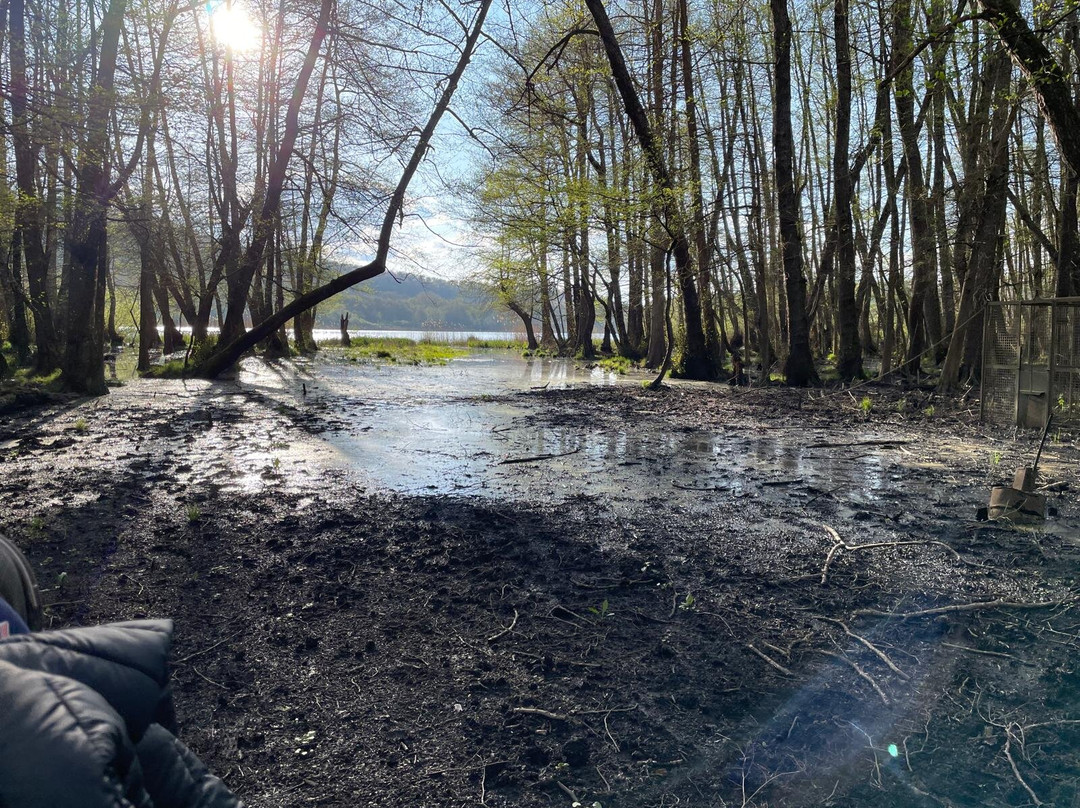 Laghi Di Monticchio-Monticchio Bagni必去景点