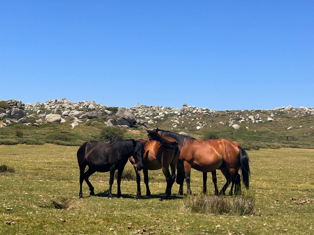 A Muvrella Randonnees-Solaro必去景点