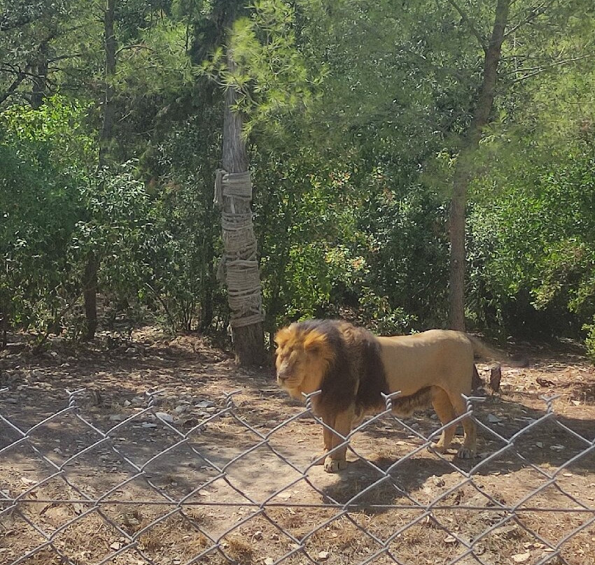 Parc de Lunaret - Zoo de Montpellier-蒙彼利埃必去景点