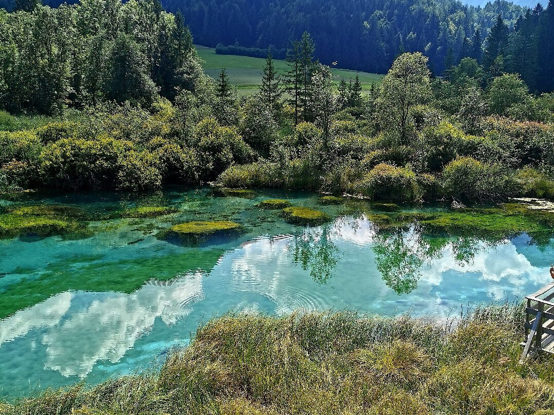 Zelenci Nature Reserve-Kranjska Gora必去景点