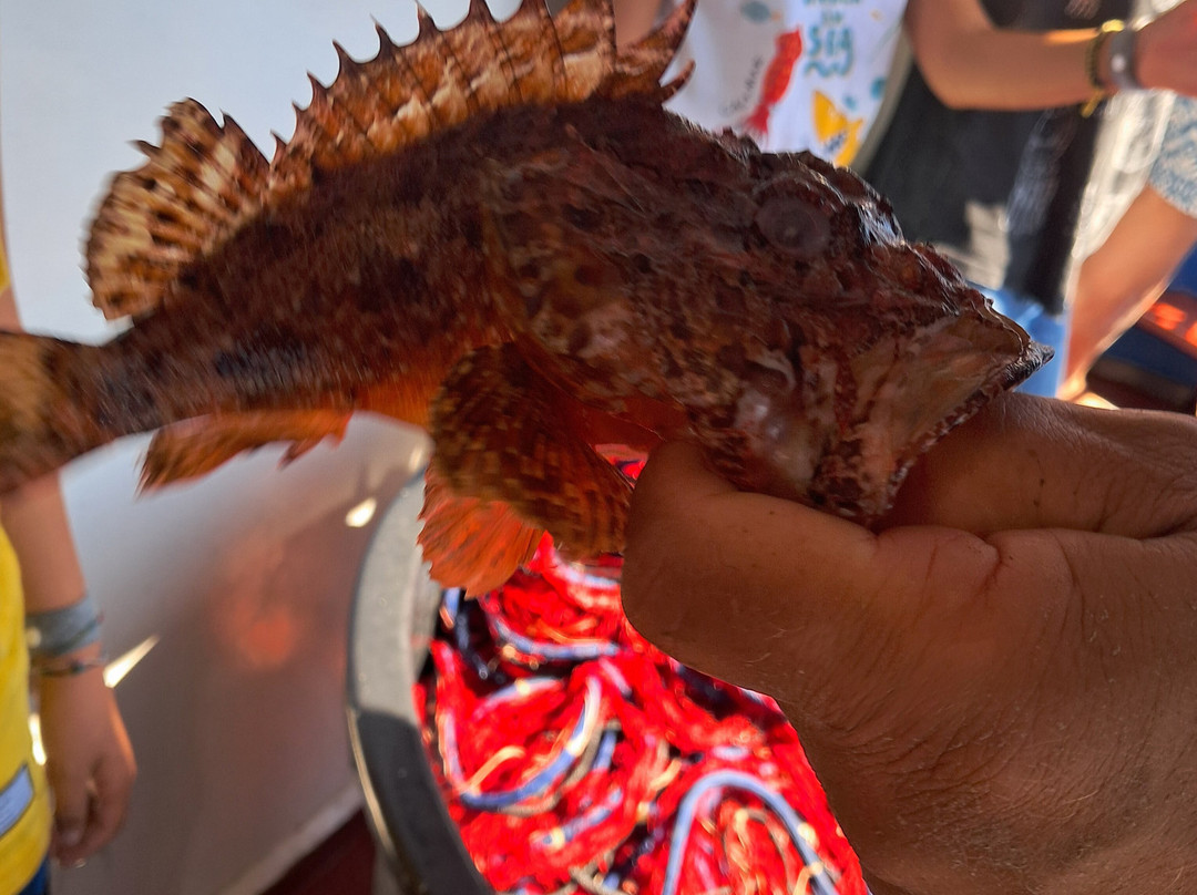 Pescaturismo La Barca dei Matti-Campo nell'Elba必去景点