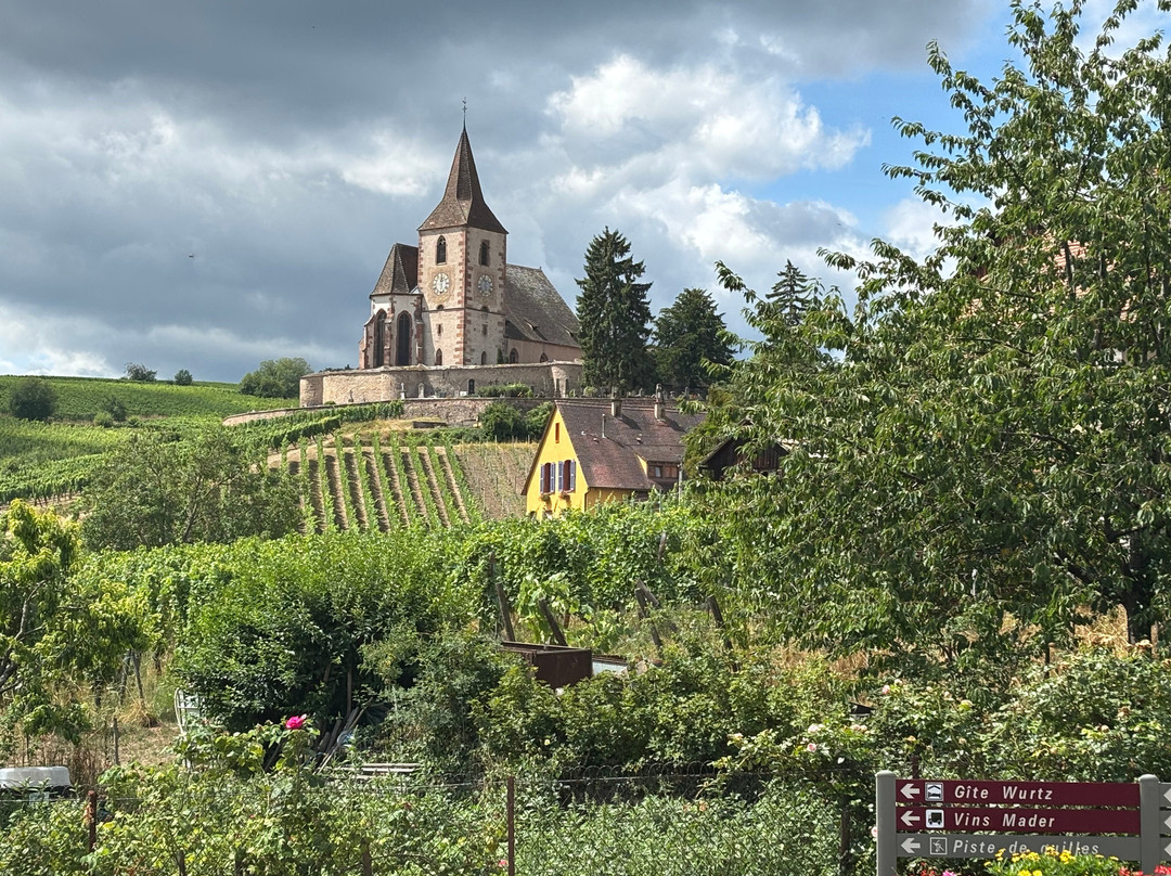 Domaine Mittnacht Frères-汉拿威必去景点