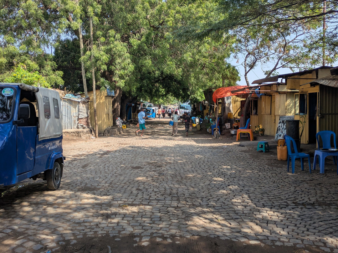 Bini Harar Tours-哈勒尔必去景点