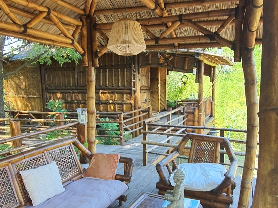 Domaine du Mas d'Alphonse主图