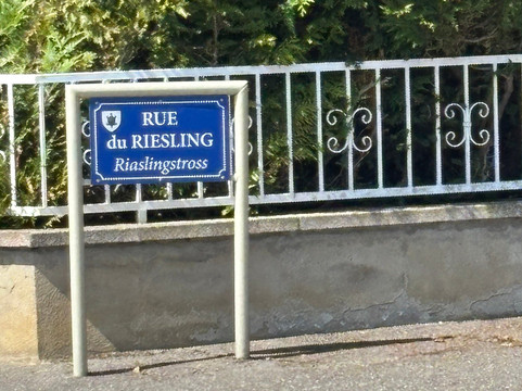 Route des Vins-Grand Est必去景点