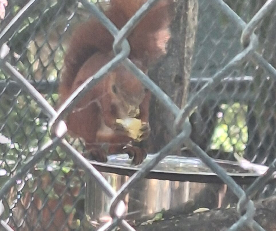 Zoológico De Barranquilla-Barranquilla必去景点