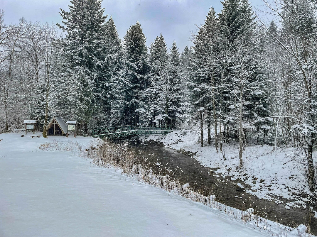 Schron Przeciwdeszczowy Rabe