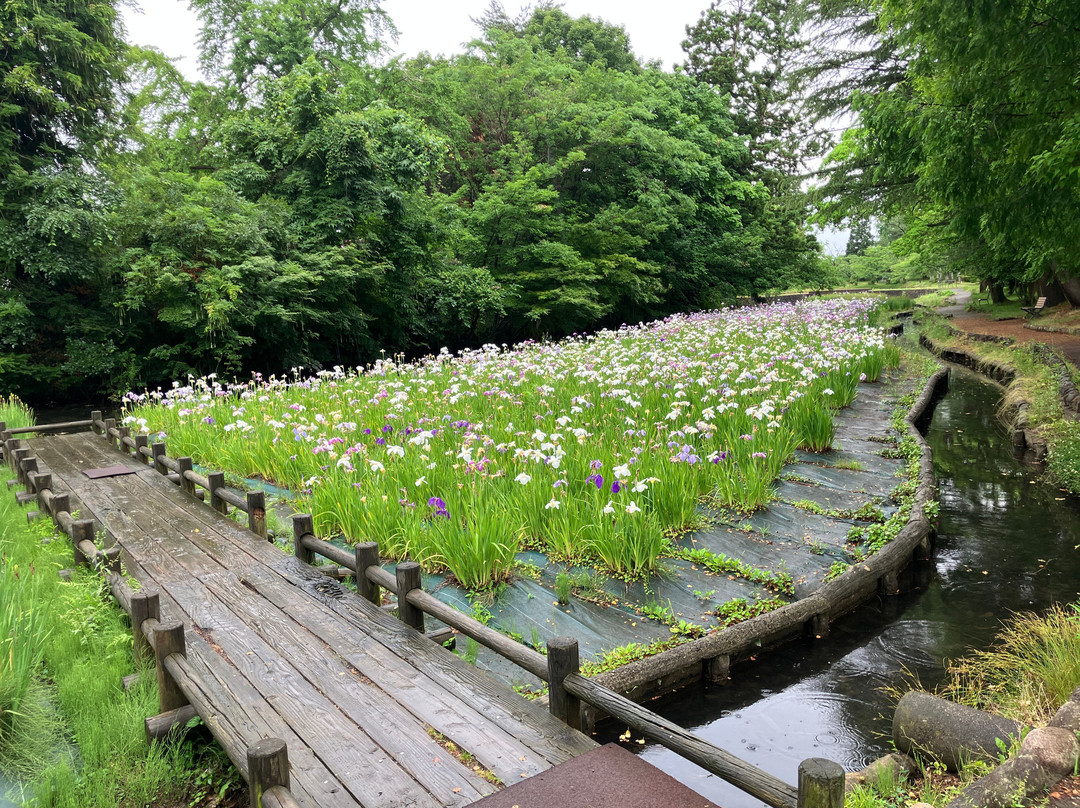 Tsuruoka Park-鹤冈市必去景点