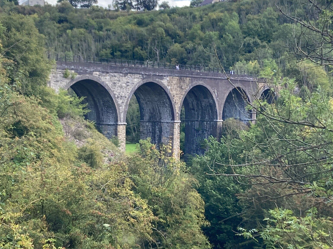 Blackwell Mill Cycle Hire-巴克斯顿必去景点