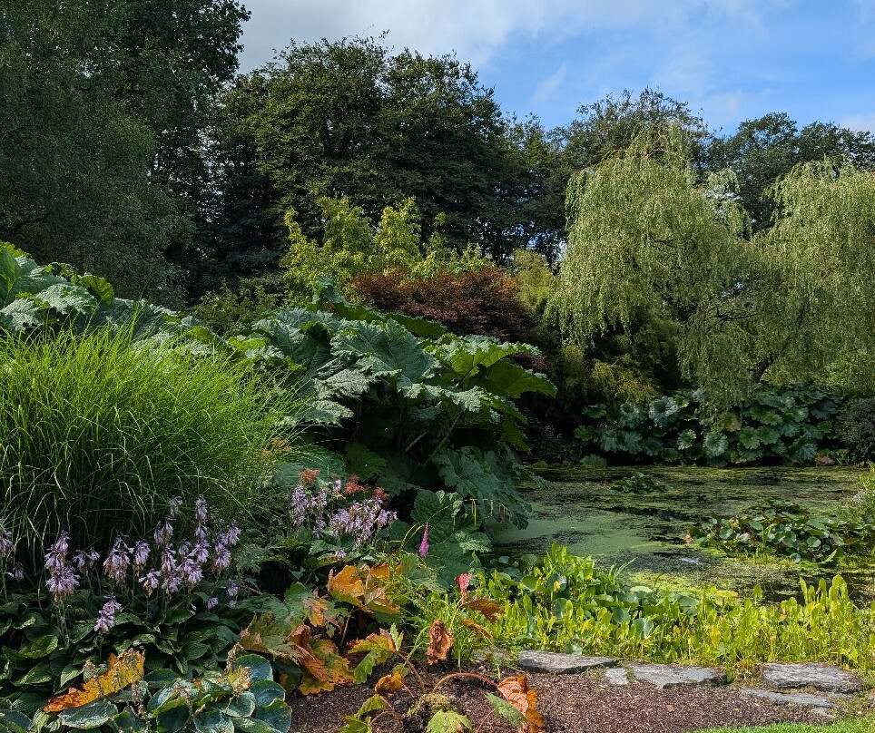Threave Castle-Kirkcudbright必去景点