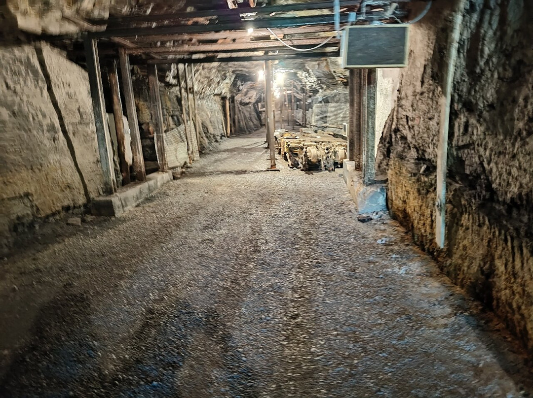 Pocahontas Exhibition Coal Mine-Pocahontas必去景点