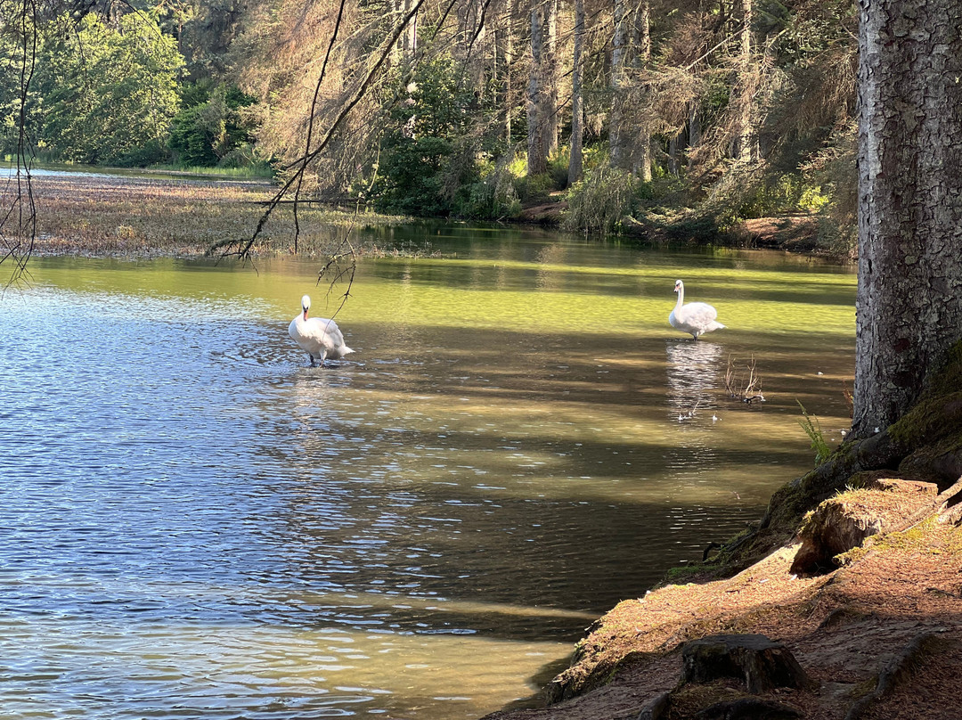 Beecraigs Country Park-林利斯戈必去景点