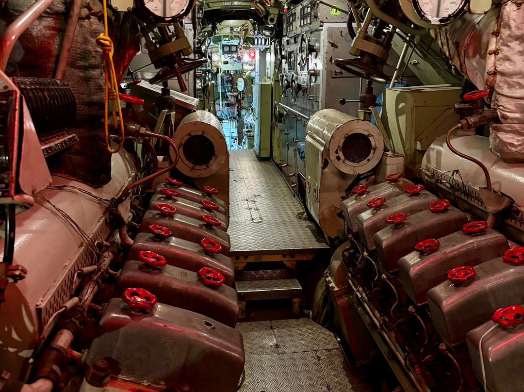 Springeren - Maritimt Oplevelsescenter-奥尔堡必去景点