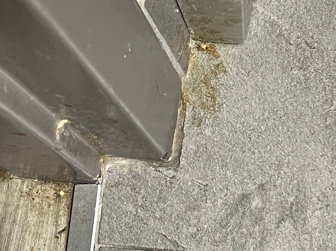 La Quinta by Wyndham-Clarksville主图