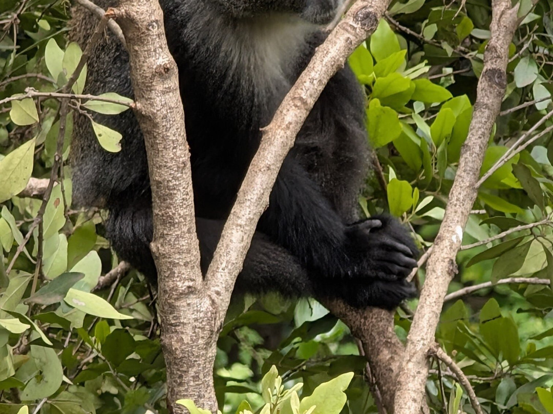 Masai Mara Holidays-Mara North Conservancy必去景点