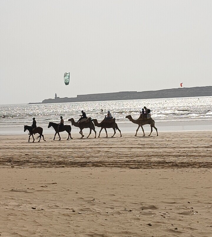 atlas trek experience-伊姆利勒必去景点