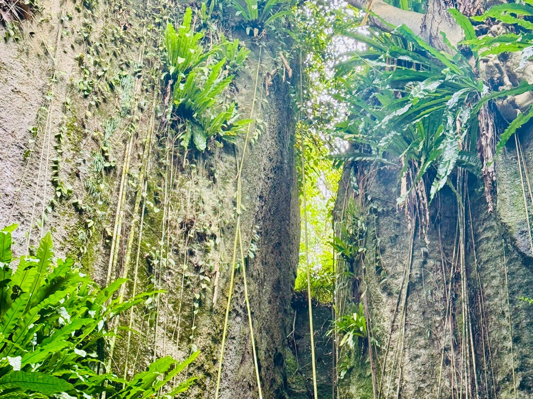 Kepayang Island-勿里洞岛必去景点