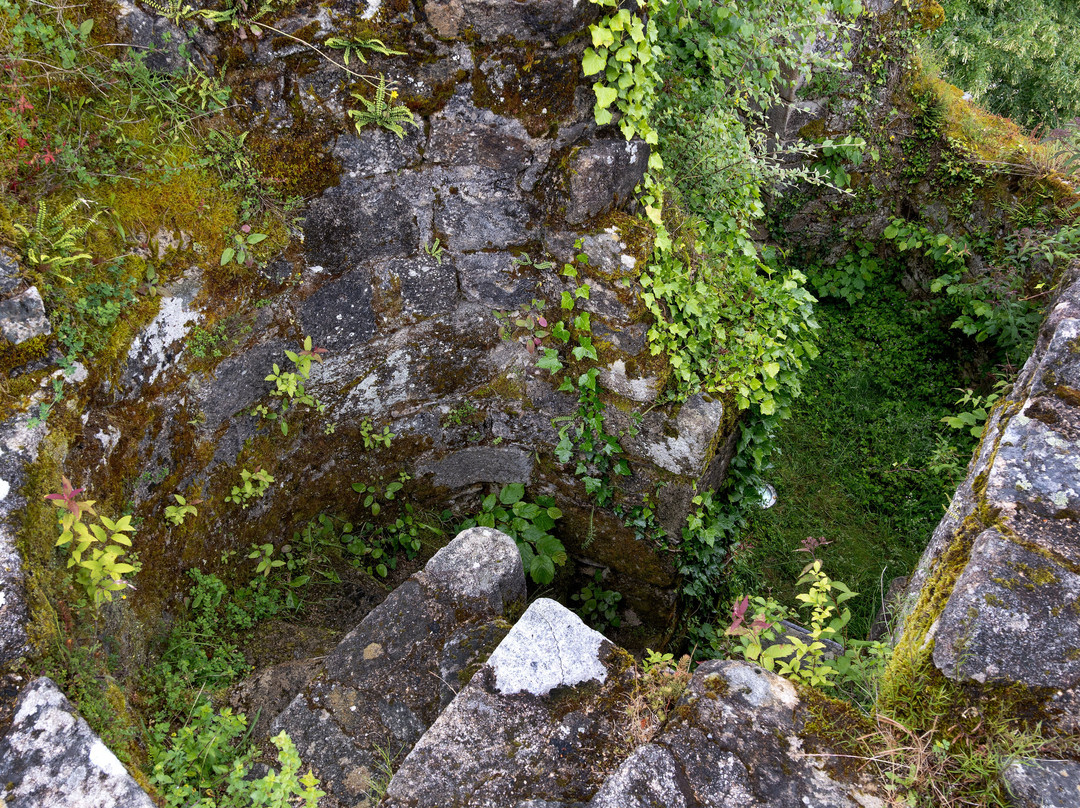Ruines Château De La Roche Haute