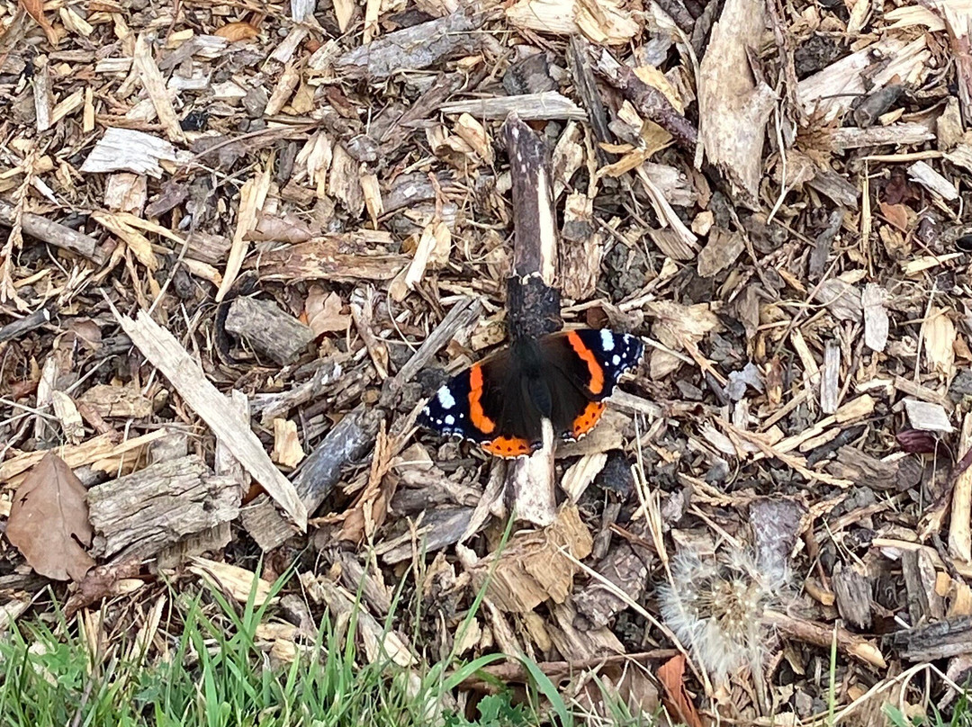 Kiplin Hall and Gardens-Kiplin必去景点