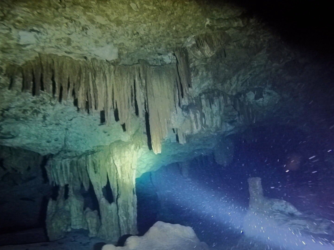 Happy Manta Cenote Diving-普拉亚德尔卡曼必去景点