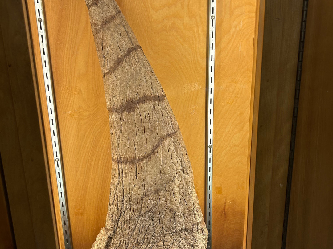 Hicksville Gregory Museum-Hicksville必去景点