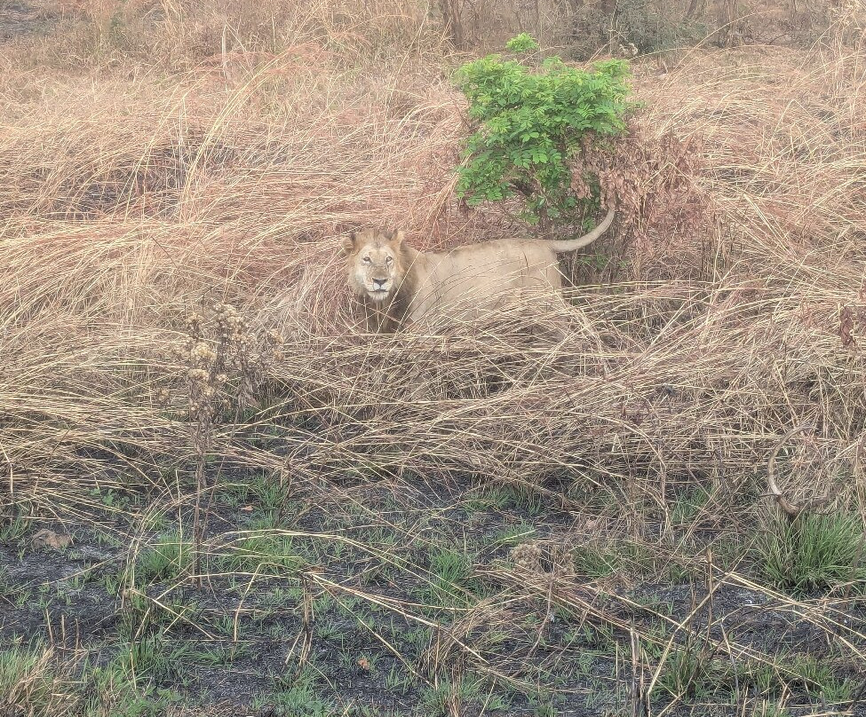 Kasaka Tours-Dar es Salaam必去景点