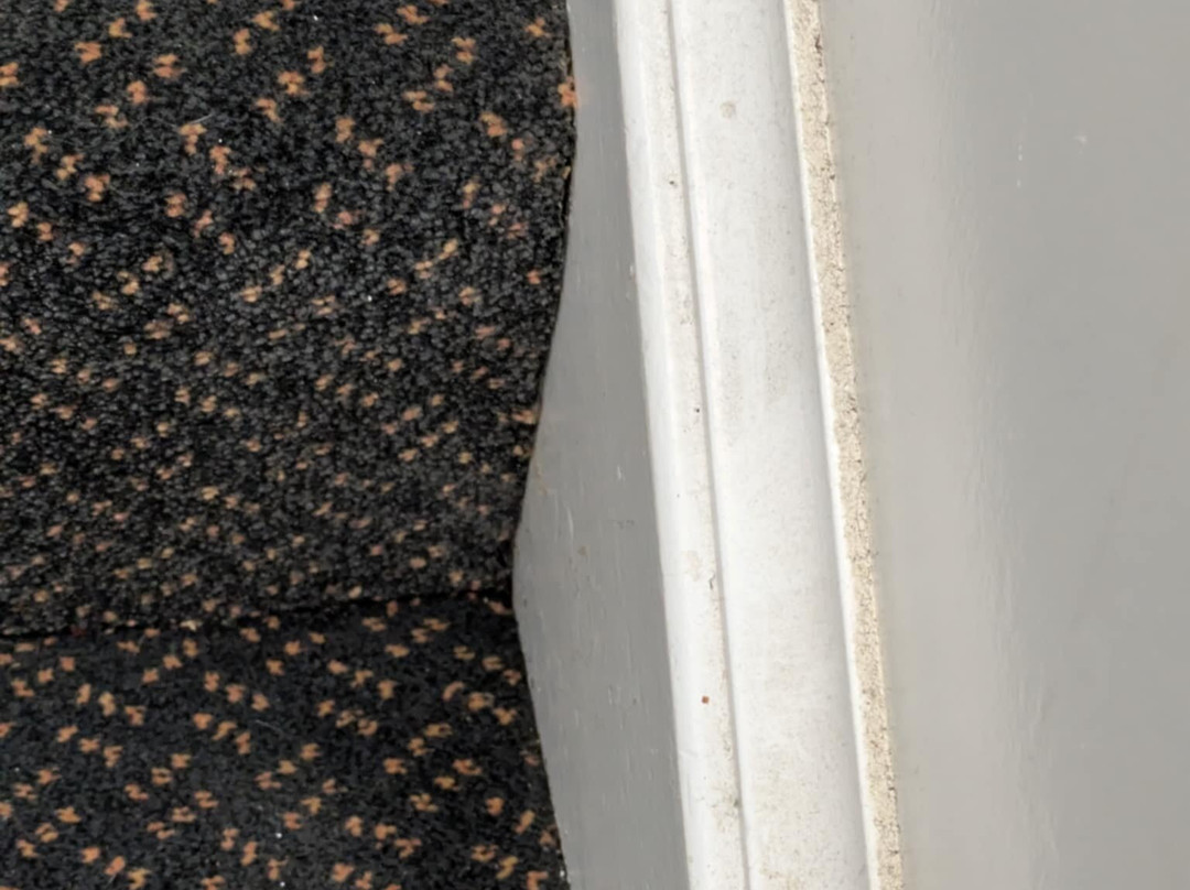 布鲁斯酒店主图