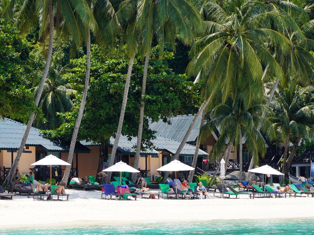 金枪鱼海湾岛屿度假村 主图