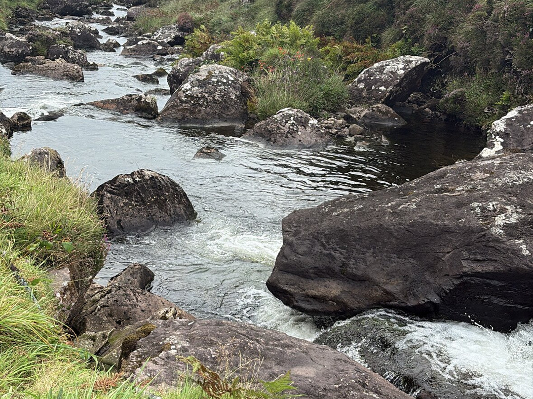 Wild Atlantic Wildlife Park-丁格尔必去景点