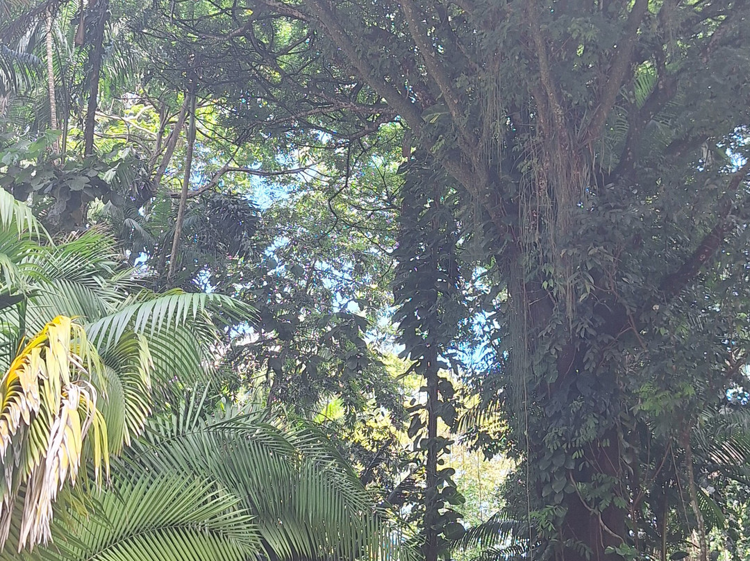 Museu Paraense Emílio Goeldi-贝伦必去景点