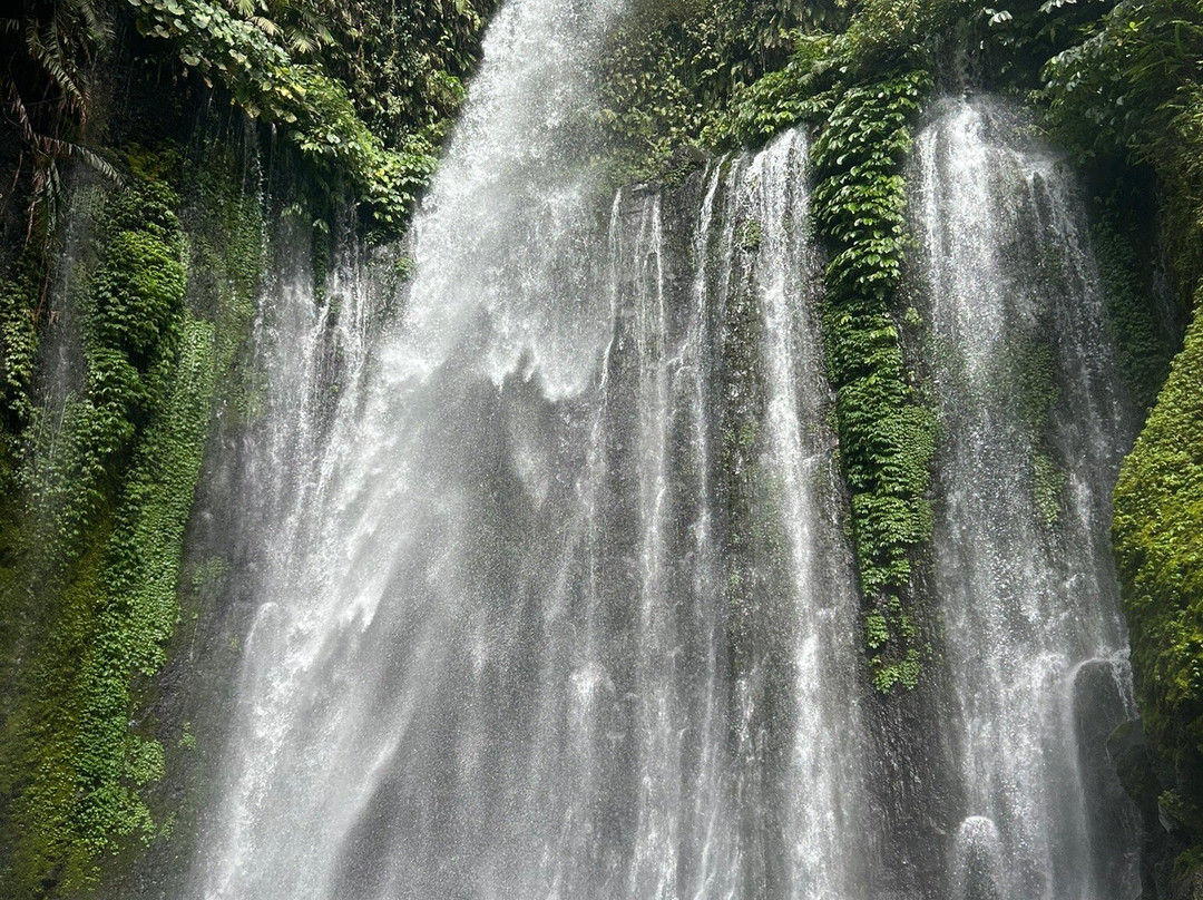 Rinjani Women Adventure-Senaru必去景点