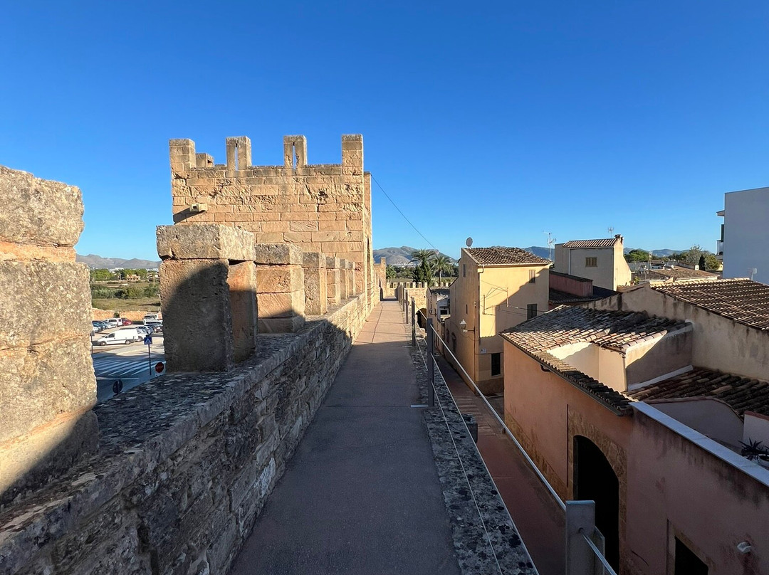 Murada Medieval D'alcúdia-阿库迪亚必去景点