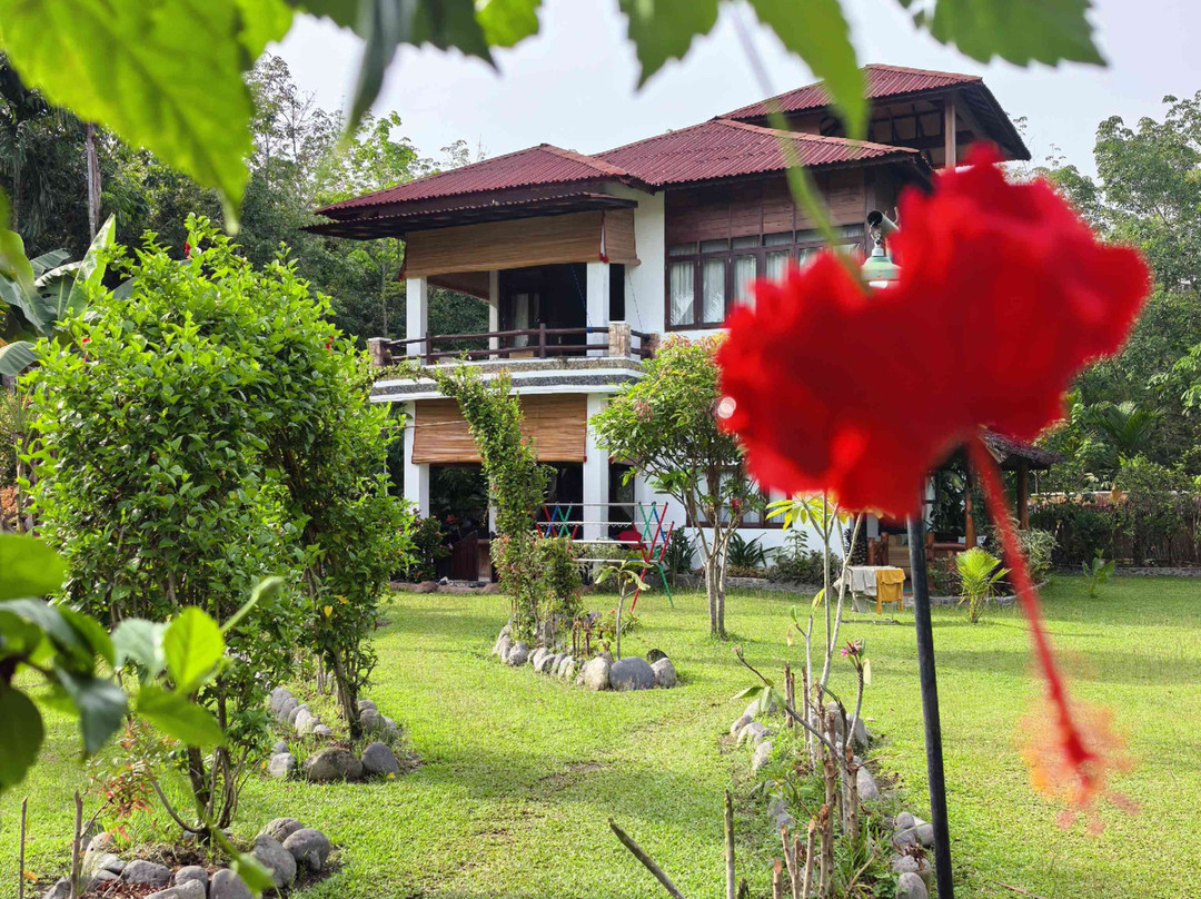 Sumatra Cheeky Monkeys主图