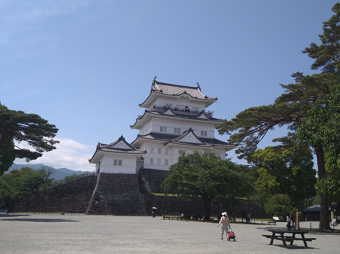 Odawara Castle Park-小田原市必去景点