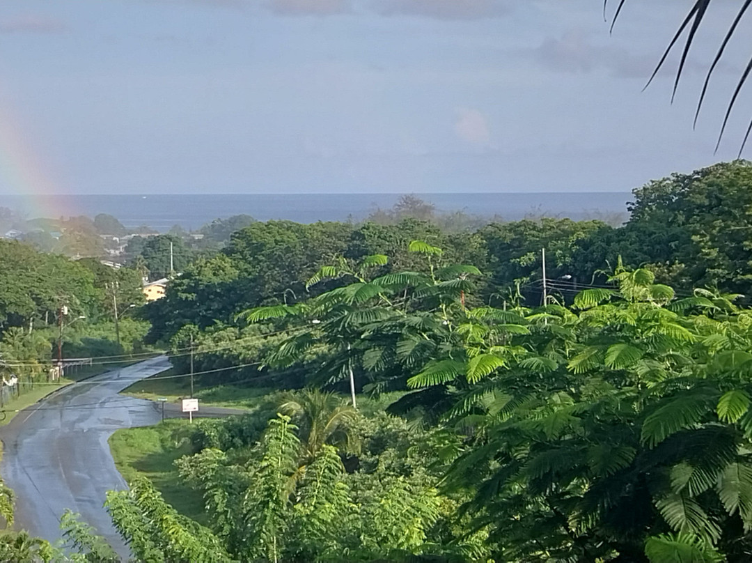 The Nest Tobago Apartments主图