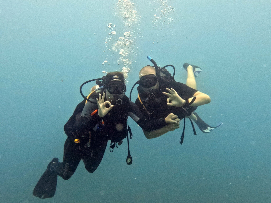 Ultra Marine Divers-蓬塔卡纳必去景点