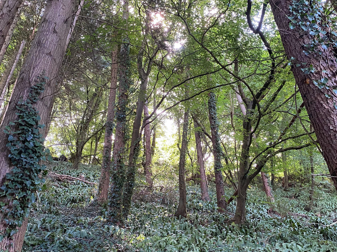 Fonmon Castle-Rhoose必去景点