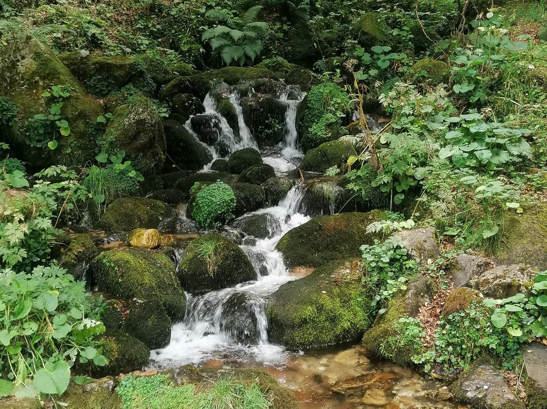 Ruta de la Cascada del Tabayon del Mongayu-Campo de Caso必去景点