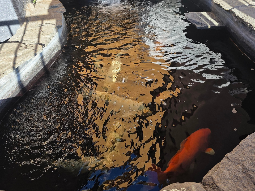 贝斯特韦斯特普勒斯羚羊酒店主图