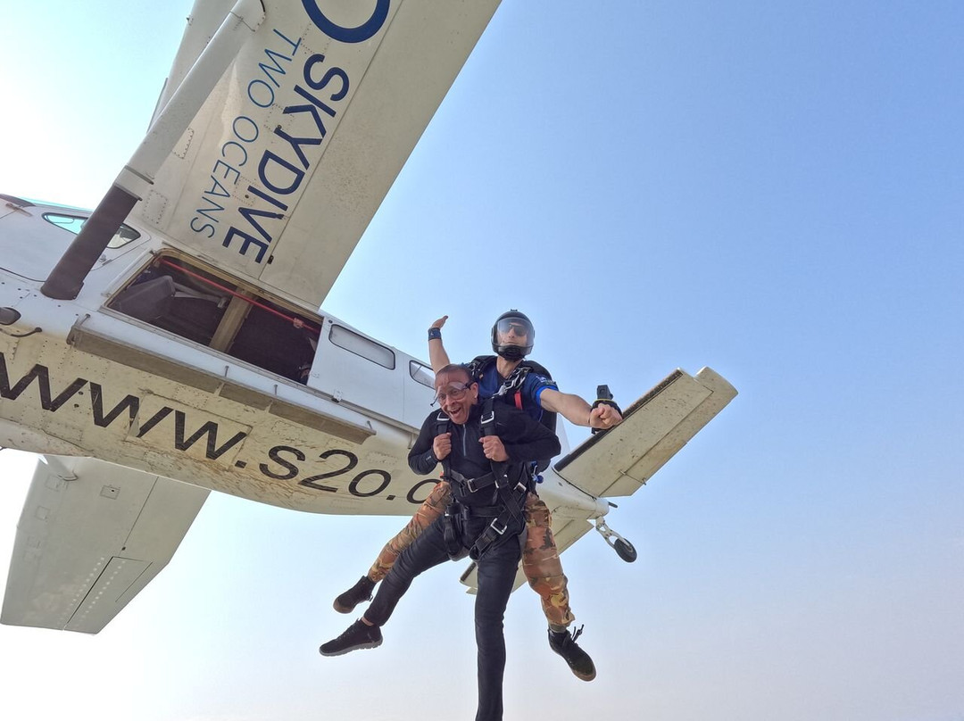 Skydive Two Oceans-惠灵顿必去景点